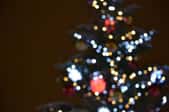 A lighted Christmas tree.