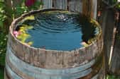 wine barrel pond with water dripping in