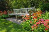 Long bench surrounded by flowers