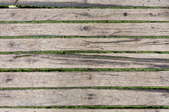 Deck with moss growing between the boards