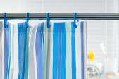 shower rod and curtain