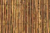 stained reed fencing