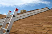 Roof View, Ladder, and Shingles