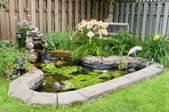 A backyard fish pond surrounded by foliage and grass.