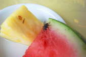 A fly resting on a slice of watermelon.