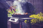 barbecue gas grill