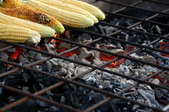 Grilling corn over a pit of hot coals.