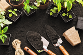 Gardening with tools, dirt, and plants