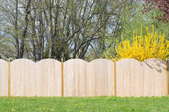 Wood fence in a yard