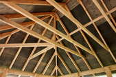 Roof Rafters