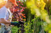 landscaper with garden checking tablet