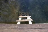 Wood ladder in the water off the side of a dock