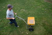 A man fertilizing a lawn. 