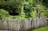 A rustic wooden fence surrounding a garden.