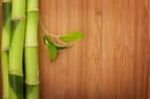 Bamboo Flooring Installation Cost Estimation