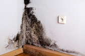 Black mold on a wall.