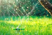 sprinkler on sunny lawn with tree