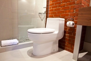 toilet