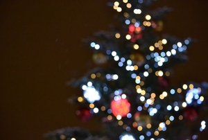 A lighted Christmas tree.