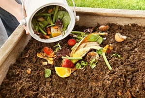 Compost heap