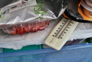 A freezer with food and thermometer. 