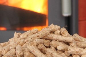a lit pellet stove with extra pellets