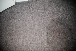 A stain on carpet.