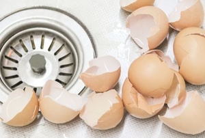 eggshells in a metal sink