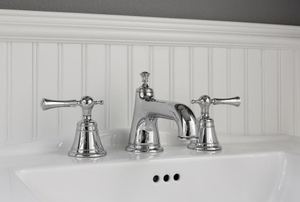 A sink and faucet.