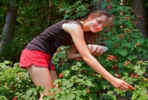 A young woman picking raspberries.