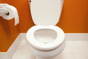 toilet