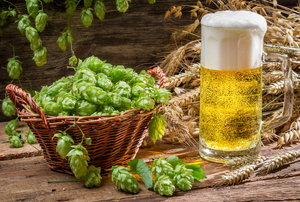 Basket of hops next to a glass of beer