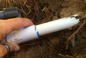 A broken sprinkler pipe.