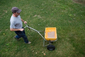A man seeding a lawn with a yellow cart.