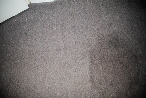 An old carpet with a dark water stain.