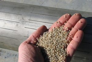 A handful of water filter sand.