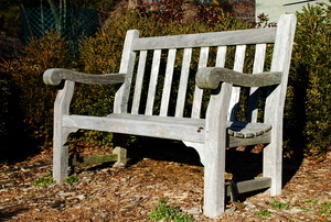 An unfinished, outdoor bench with mildew growth on the wood.