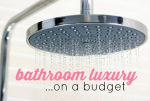 bathroom budget