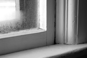 A window sill.