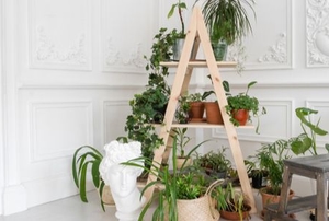plants on a triangular plant stand in a corner