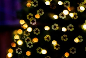 solar christmas lights