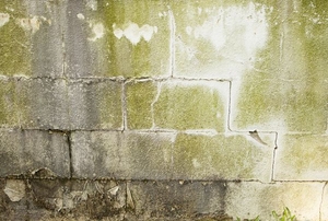 crumbled basement wall