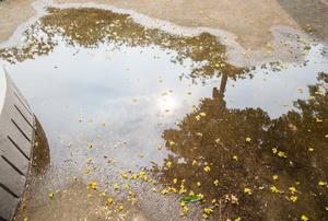 A large puddle of water on a sidewalk with a reflection of trees in it. 