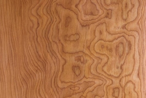 A close-up of close-grained wood.