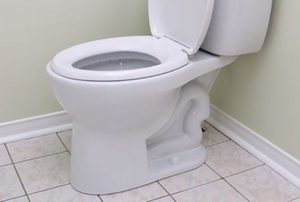 A white, porcelain toilet in the corner of a bathroom.