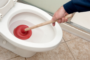 plunging a toilet