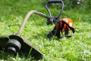 a weed whacker on a healthy lawn