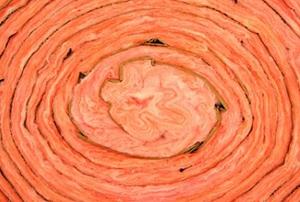 An extreme close-up of the end of a pink roll of fiberglass insulation.