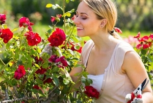 woman pruning roses