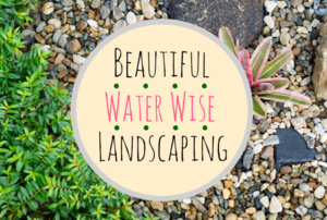 A close-up image of gravel and plants and the words, "Beautiful water wise landscaping."